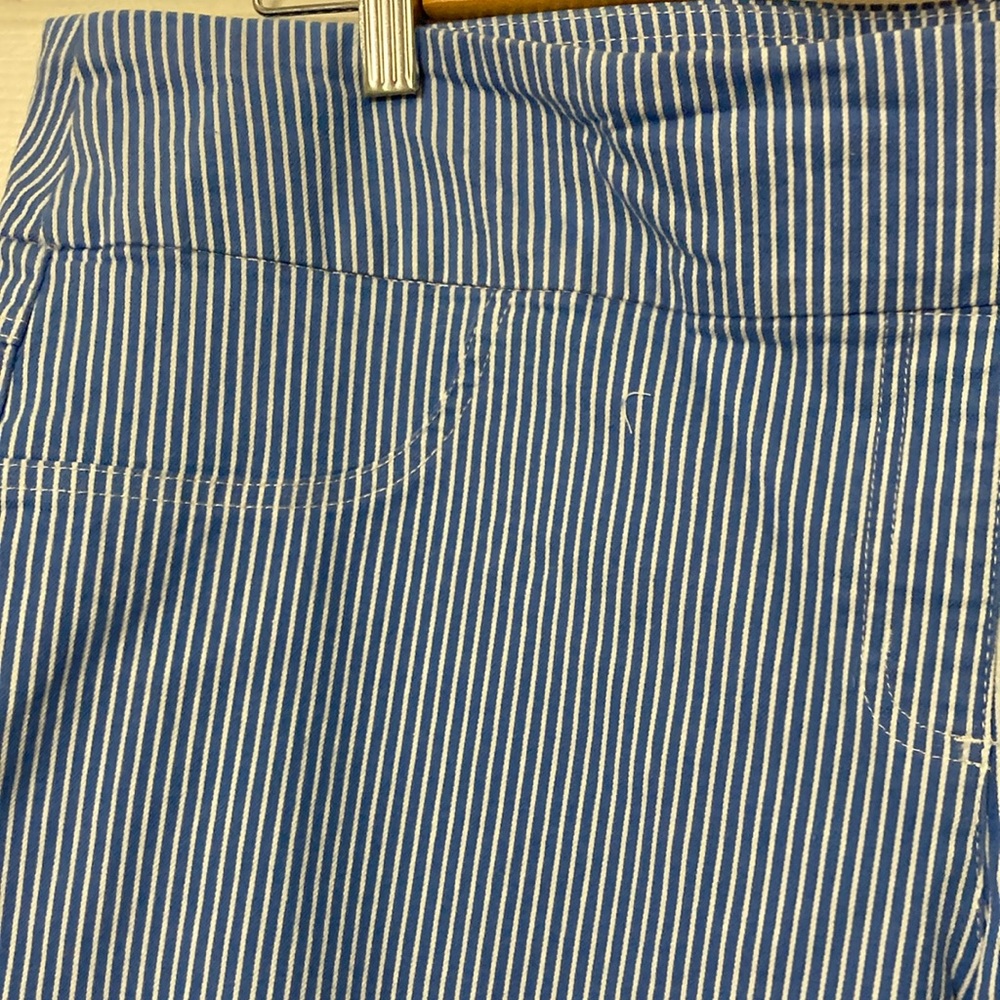 Ruby Rd. Blue and White Striped Pants - Picture 8 of 11